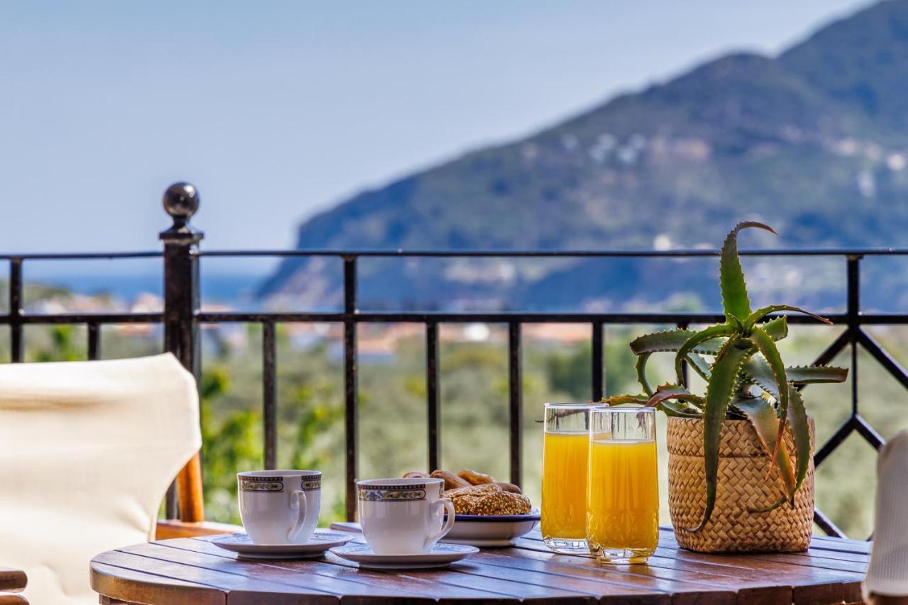 Eleonora'S Villa สโกเปลอสทาวน์ ภายนอก รูปภาพ