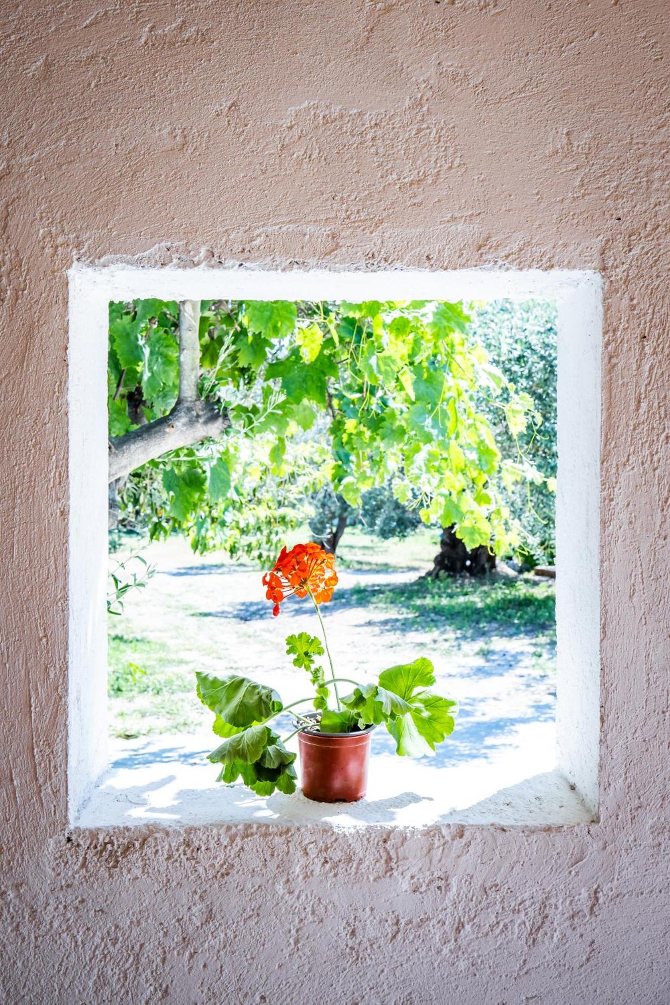 Eleonora'S Villa สโกเปลอสทาวน์ ภายนอก รูปภาพ
