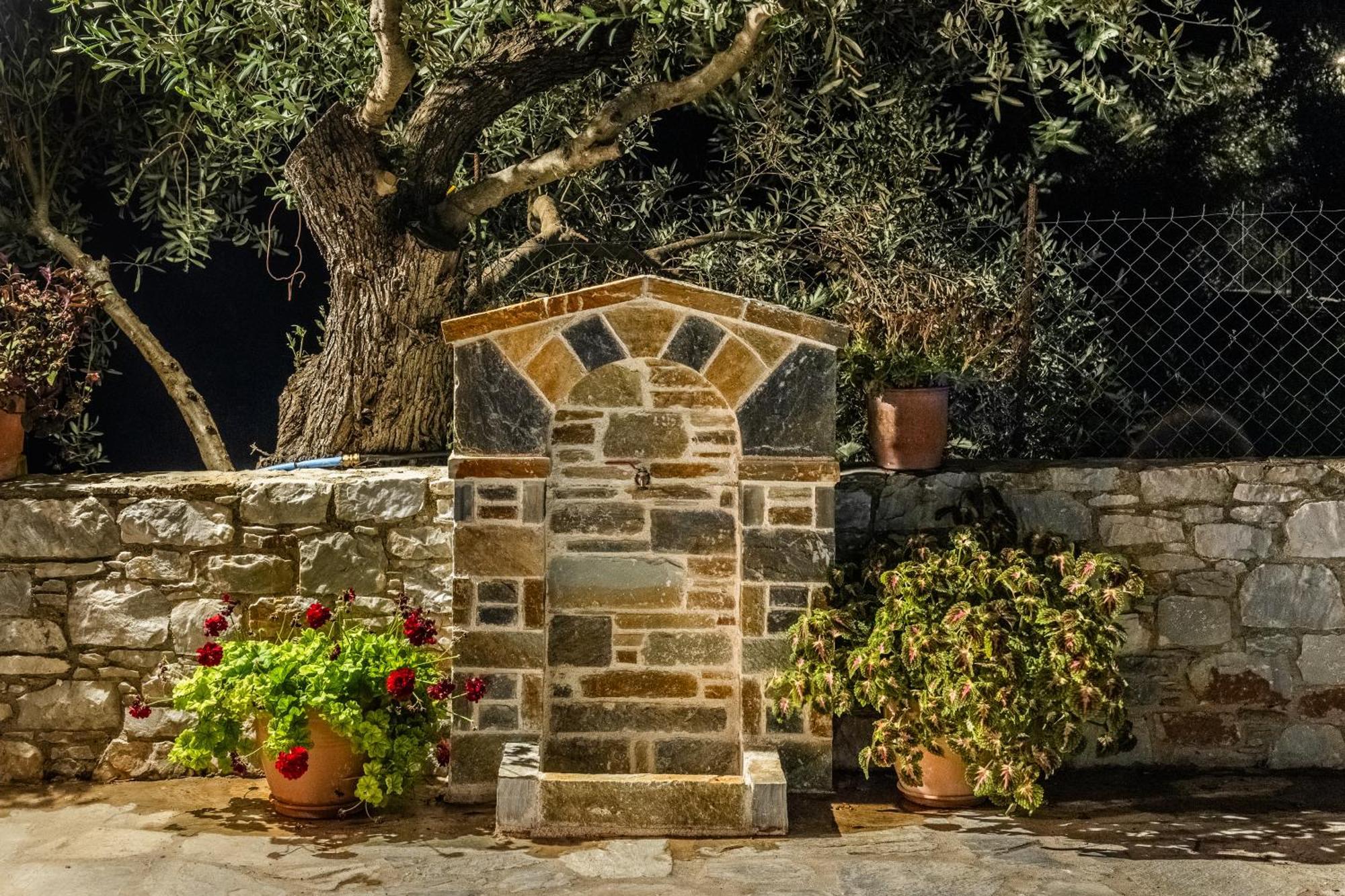 Eleonora'S Villa สโกเปลอสทาวน์ ภายนอก รูปภาพ